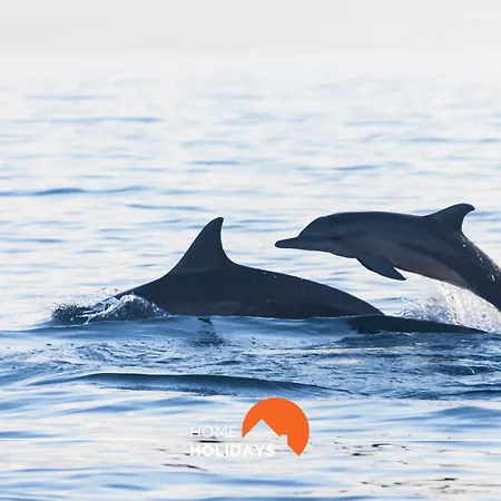 #064 Families Only - Oh Live By Holidays Apartament